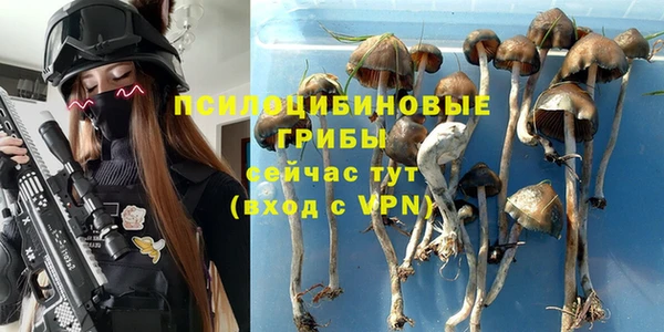 соль ск Алексин