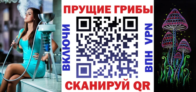 кракен зеркало  Коряжма  Псилоцибиновые грибы Psilocybine cubensis 