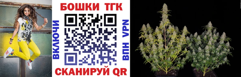 наркошоп Коряжма Каннабис ГИДРОПОН